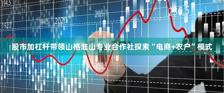 股市加杠杆带领山格淮山专业合作社探索“电商+农户”模式