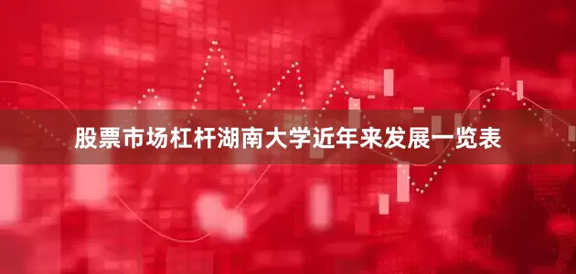 股票市场杠杆湖南大学近年来发展一览表