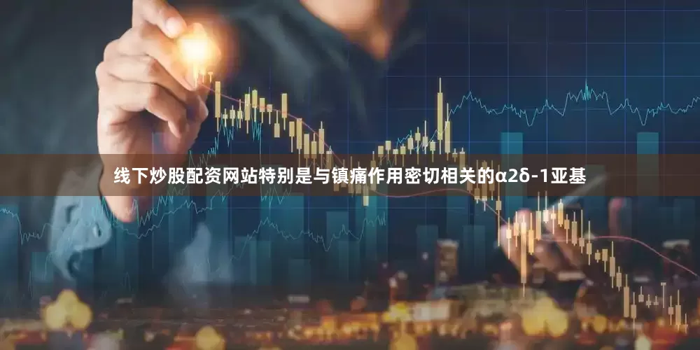线下炒股配资网站特别是与镇痛作用密切相关的α2δ-1亚基