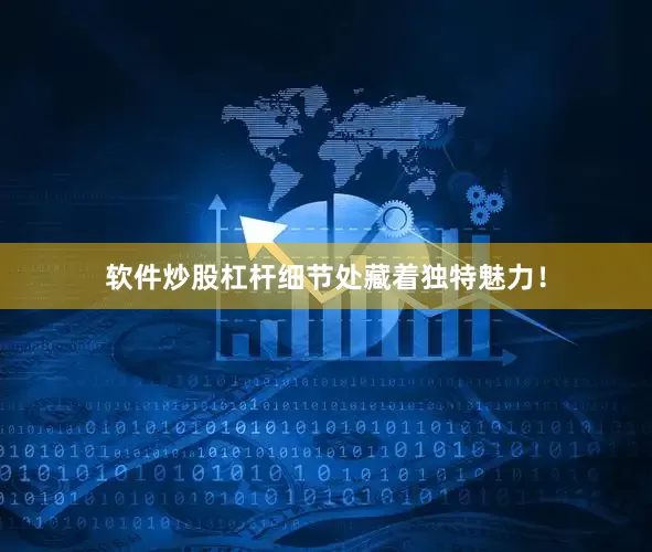 软件炒股杠杆细节处藏着独特魅力！