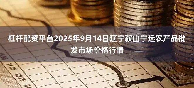杠杆配资平台2025年9月14日辽宁鞍山宁远农产品批发市场价格行情